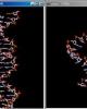 Virus có genom ARN đơn, dương với enzym phiên mã ngược (virus Retro)