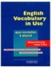 Cambridge - English Vocabulary in Use 