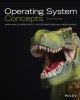 Ebook Operating system concepts (Tenth edition): Part 2
