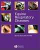 Ebook Equine respiratory diseases: Part 2