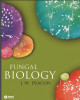 Ebook Fungal biology (4/E): Part 2