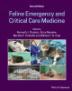 Ebook Feline emergency and critical care medicine (2/E): Part 1