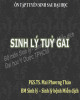 Bài giảng Sinh lý tủy gai - PGS. TS Mai Phương Thảo