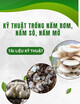 Tài liệu kỹ thuật: Kỹ thuật trồng nấm rơm, nấm sò, nấm  mỡ