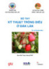 Sổ tay Kỹ thuật trồng điều ở Đắk Lắk