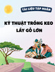 Tài liệu tập huấn khuyến nông: Kỹ thuật trồng keo lấy gỗ lớn